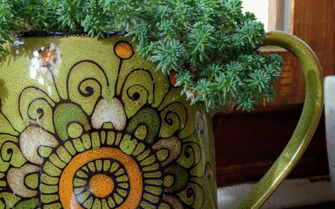 Indoor gardening, or welcome to Gardening Bore 2021