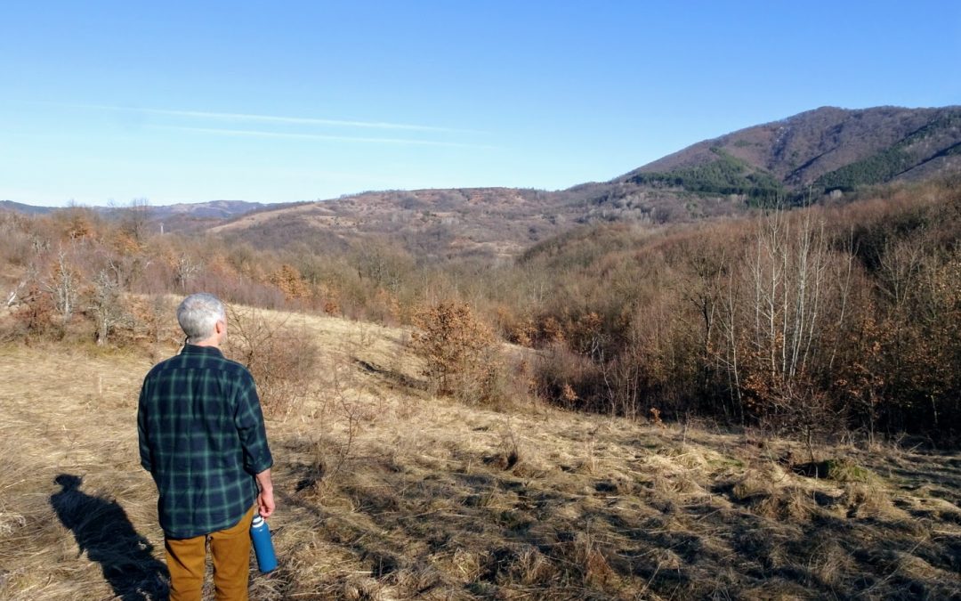 Gratitude (I’m not a robot)