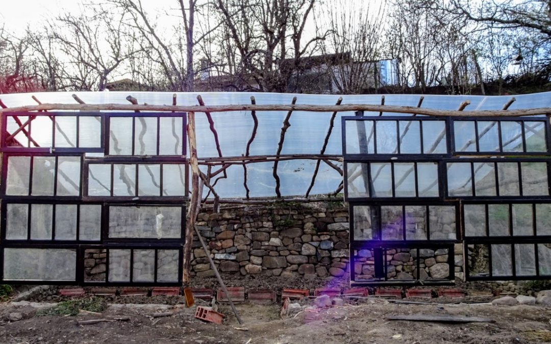 Dumpster-diving window beggars