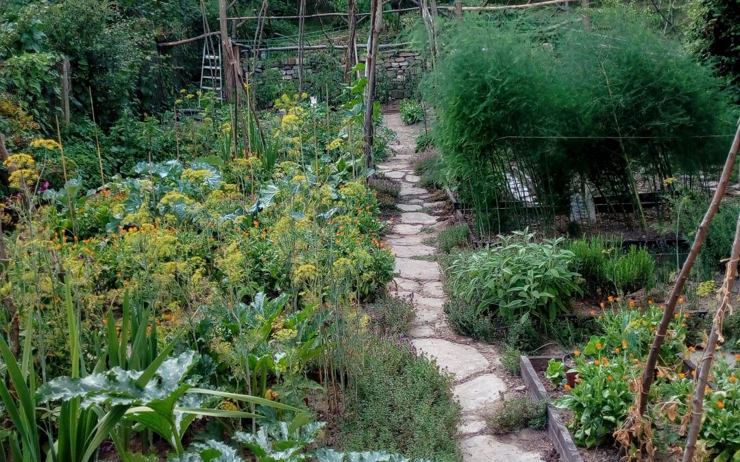 Return of the Gardening Bore (again)