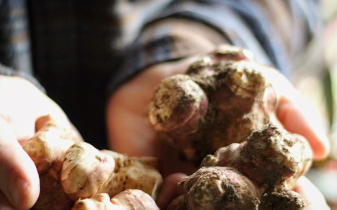 What to do with all those Jerusalem artichokes