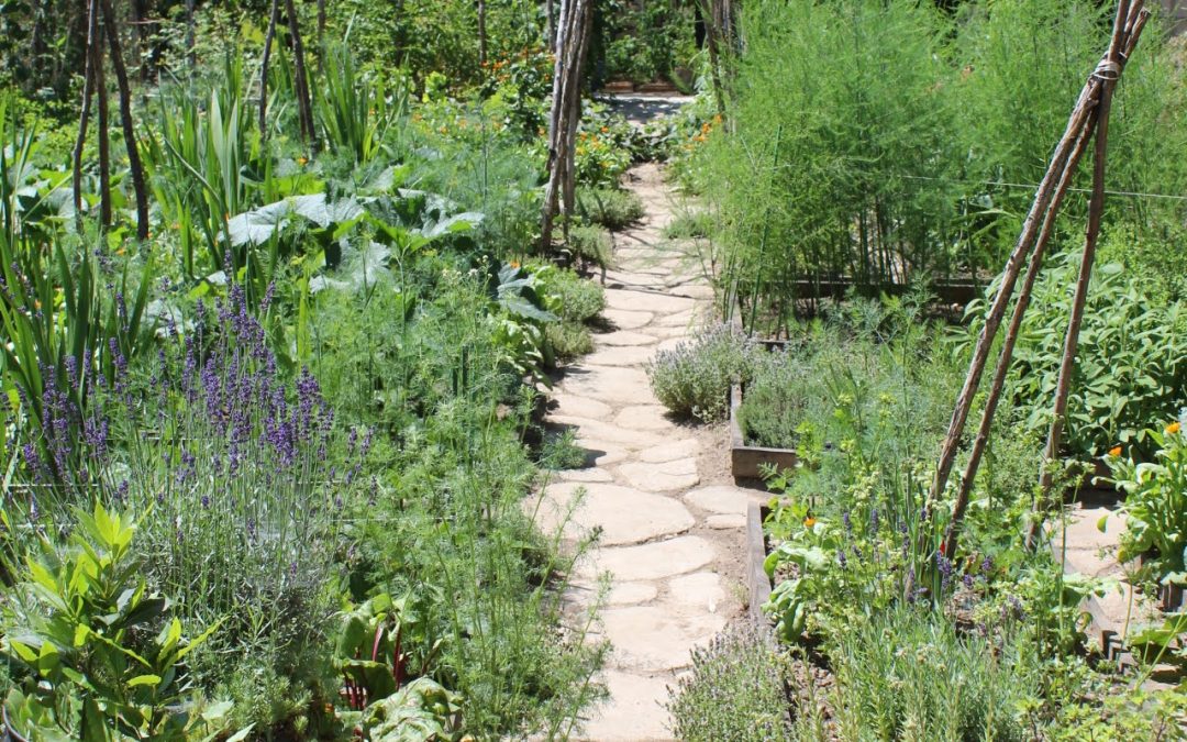 Welcome to Gardening Bore 2024!